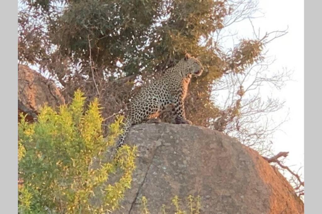 Rhino House With 3 Bedrooms Next To Pilanesberg And Sun City Mogwase Kültér fotó