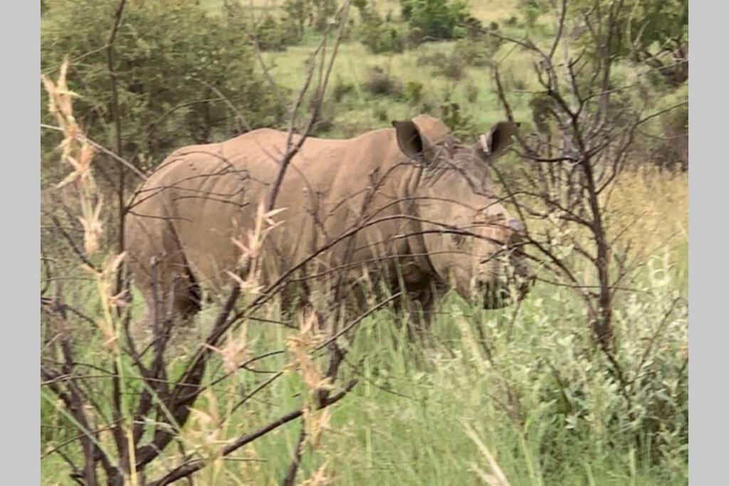 Rhino House With 3 Bedrooms Next To Pilanesberg And Sun City Mogwase Kültér fotó
